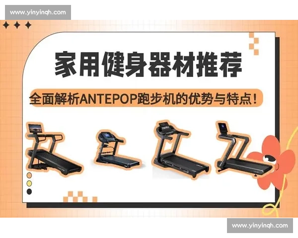 全面解析现代体育器材的种类功能与选购使用指南